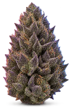 AI-generated illustration of a cannabis flower for the A A Berry Gelato page, not a photo of the strain