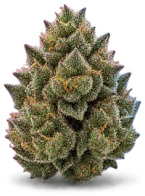 AI-generated illustration of a cannabis flower for the A-Dub page, not a photo of the strain