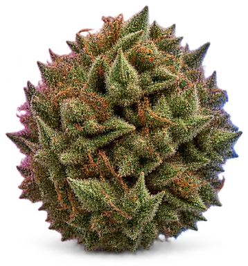 AI-generated illustration of a cannabis flower for the Alien B Rock page, not a photo of the strain