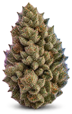 AI-generated illustration of a cannabis flower for the Alien Moon Pie page, not a photo of the strain