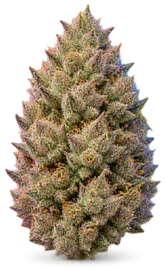 AI-generated illustration of a cannabis flower for the Alien Rock Candy page, not a photo of the strain