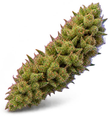 AI-generated illustration of a cannabis flower for the Alluvium Organics Gravity Apple page, not a photo of the strain