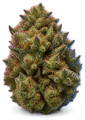 AI-generated illustration of a cannabis flower for the Amnesia Trance page, not a photo of the strain