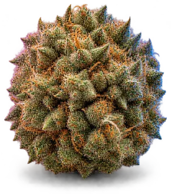 AI-generated illustration of a cannabis flower for the Andromeda page, not a photo of the strain
