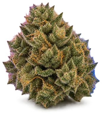 AI-generated illustration of a cannabis flower for the Animal Cookies page, not a photo of the strain