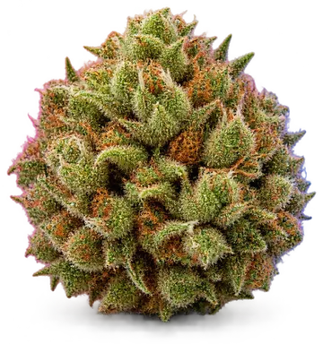 AI-generated illustration of a cannabis flower for the Animal Mint Cake page, not a photo of the strain