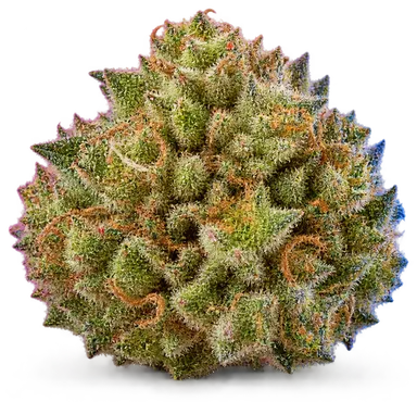 AI-generated illustration of a cannabis flower for the Apple Fritter page, not a photo of the strain