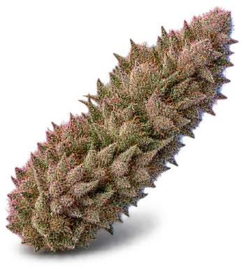 AI-generated illustration of a cannabis flower for the Apple Rock Candy page, not a photo of the strain