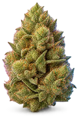 AI-generated illustration of a cannabis flower for the Apples And Bananas page, not a photo of the strain
