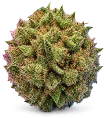 AI-generated illustration of a cannabis flower for the Apples Bananas page, not a photo of the strain