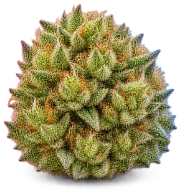 AI-generated illustration of a cannabis flower for the Apple Smack page, not a photo of the strain