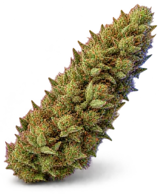 AI-generated illustration of a cannabis flower for the Apple Tartz page, not a photo of the strain