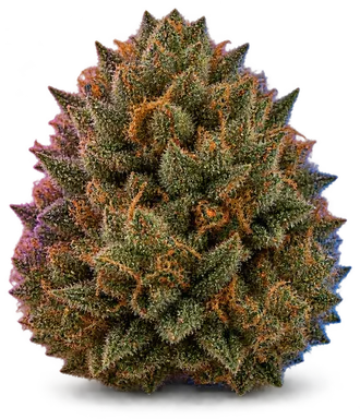AI-generated illustration of a cannabis flower for the Aspen Sky OG page, not a photo of the strain