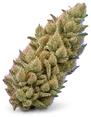 AI-generated illustration of a cannabis flower for the Astro Pop page, not a photo of the strain