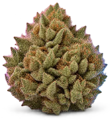 AI-generated illustration of a cannabis flower for the Aurora page, not a photo of the strain