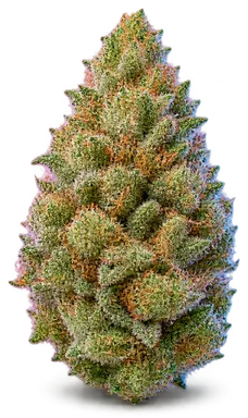AI-generated illustration of a cannabis flower for the Bad Apple page, not a photo of the strain