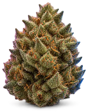 AI-generated illustration of a cannabis flower for the Bahama Mama page, not a photo of the strain