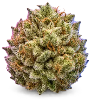 AI-generated illustration of a cannabis flower for the Banana page, not a photo of the strain