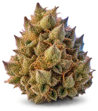 AI-generated illustration of a cannabis flower for the Banana Breath page, not a photo of the strain
