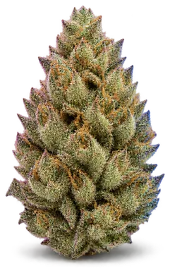 AI-generated illustration of a cannabis flower for the Banana Cream Cake page, not a photo of the strain