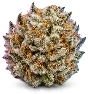 AI-generated illustration of a cannabis flower for the Banana Cream Truffles page, not a photo of the strain