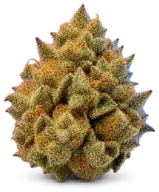 AI-generated illustration of a cannabis flower for the Banana Guava page, not a photo of the strain