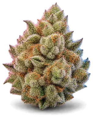 AI-generated illustration of a cannabis flower for the Banana Krumble page, not a photo of the strain