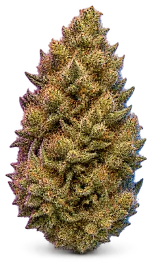 AI-generated illustration of a cannabis flower for the Banana Kush page, not a photo of the strain