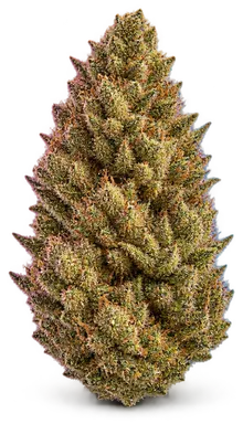 AI-generated illustration of a cannabis flower for the Banana OG page, not a photo of the strain