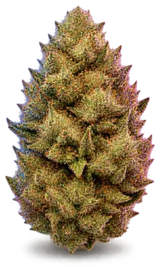 AI-generated illustration of a cannabis flower for the Banana Punch Flowers page, not a photo of the strain