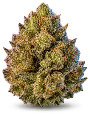 AI-generated illustration of a cannabis flower for the Banana Sherbet page, not a photo of the strain