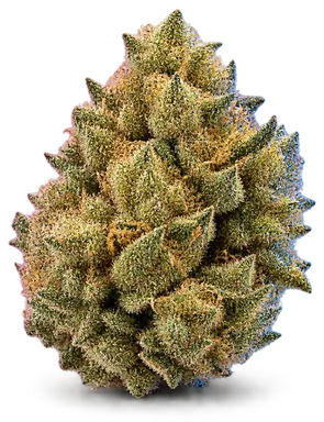 AI-generated illustration of a cannabis flower for the Banana Split page, not a photo of the strain