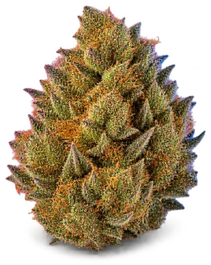 AI-generated illustration of a cannabis flower for the Banana Tangie OG page, not a photo of the strain