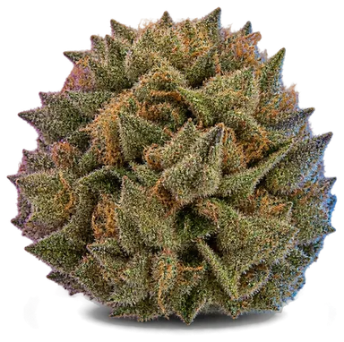 AI-generated illustration of a cannabis flower for the Bangerang page, not a photo of the strain