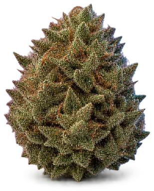 AI-generated illustration of a cannabis flower for the Bank Shot page, not a photo of the strain
