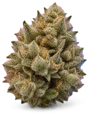 AI-generated illustration of a cannabis flower for the BB7 page, not a photo of the strain