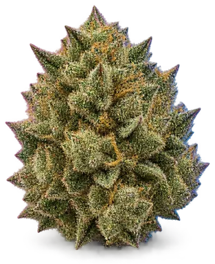 AI-generated illustration of a cannabis flower for the Beefcake page, not a photo of the strain