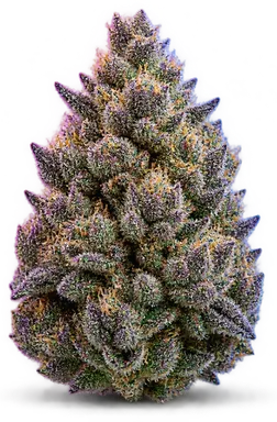 AI-generated illustration of a cannabis flower for the Berry Cake page, not a photo of the strain