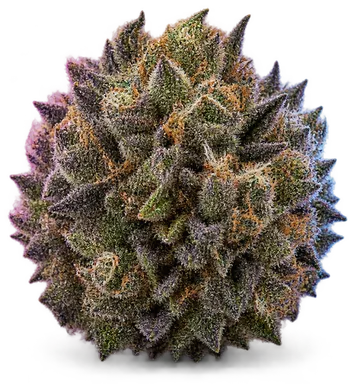 AI-generated illustration of a cannabis flower for the Berry Crunch page, not a photo of the strain