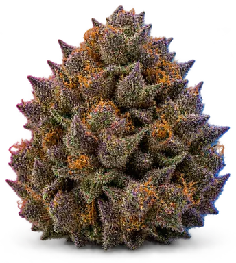 AI-generated illustration of a cannabis flower for the Berry White page, not a photo of the strain