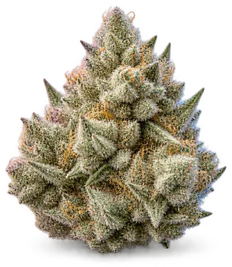 AI-generated illustration of a cannabis flower for the Bettie White page, not a photo of the strain