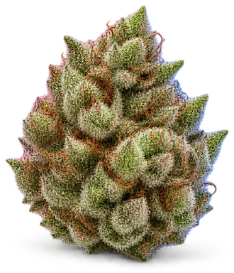AI-generated illustration of a cannabis flower for the Big Apple X Kush Mintz page, not a photo of the strain