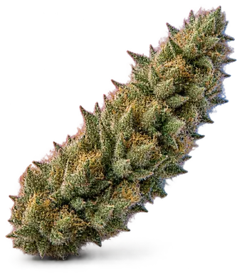 AI-generated illustration of a cannabis flower for the Big Baby 2 0 page, not a photo of the strain