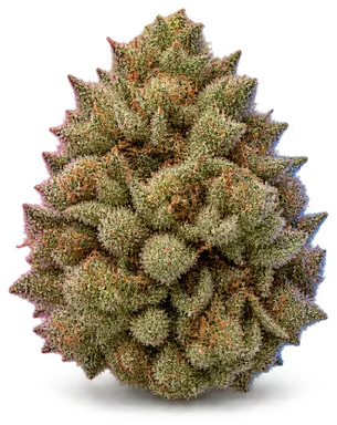 AI-generated illustration of a cannabis flower for the Big Block page, not a photo of the strain