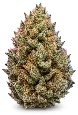 AI-generated illustration of a cannabis flower for the Big Drip page, not a photo of the strain