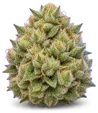AI-generated illustration of a cannabis flower for the Big Mint 1 page, not a photo of the strain