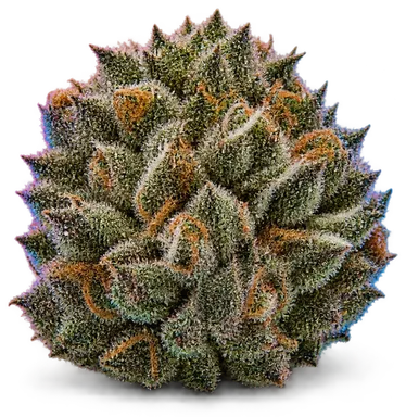 AI-generated illustration of a cannabis flower for the Bio Diesel page, not a photo of the strain