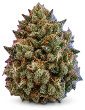 AI-generated illustration of a cannabis flower for the S Bioflux page, not a photo of the strain
