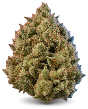 AI-generated illustration of a cannabis flower for the Bio-Jesus page, not a photo of the strain