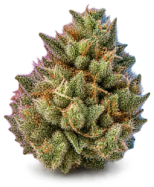AI-generated illustration of a cannabis flower for the Biscotti Mint page, not a photo of the strain
